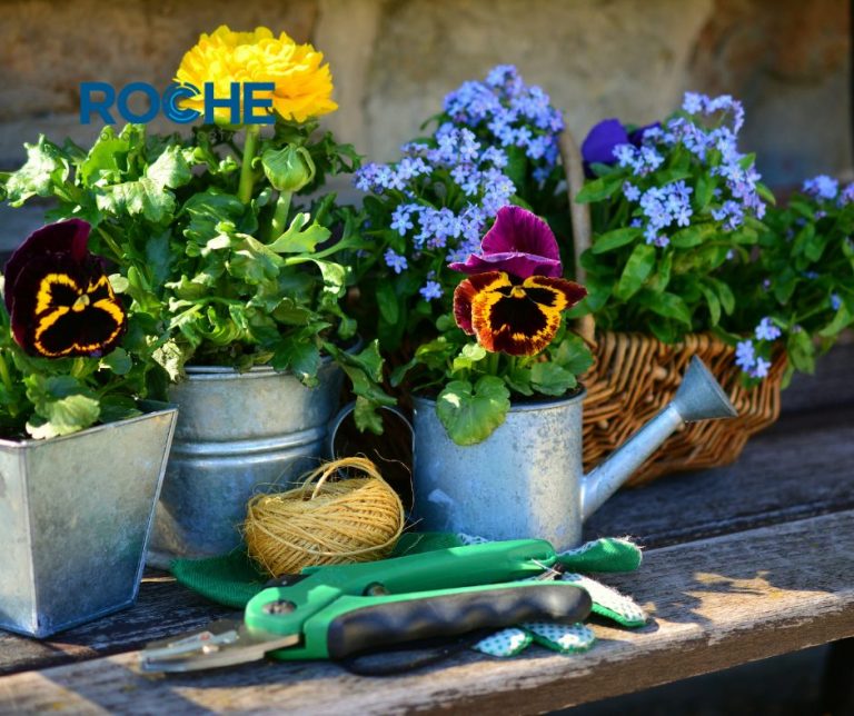 Jardim de Condomínio: Dicas de Plantas e Manutenção - Conservação e Limpeza